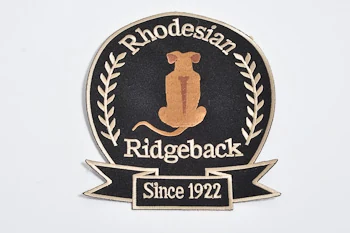 Rund broderet patch med tekstbanner og flere kantforløb